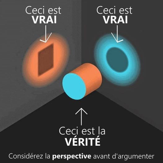 infographie dont l'objectif est de valider la notion de "vérité"